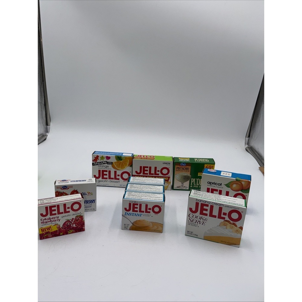 Vintage Jell-O Pudding Gelatin No Eating Prop Movie TV Jello